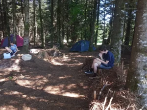 magic_campus_camp1_antriebskraftcoaching Magic Campus: Jugendliche im Antriebskraft-Prozess im Wald